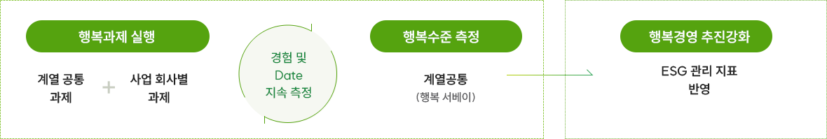 행복과제 실행(계열 공통 과제 + 사업 회사별 과제) / 경험 및 Date 지속 측정 / 행복수준 측정 (계열 공통 (행복서베이)) → 행복경영 추진강화 (ESG 관리 지표 반영)