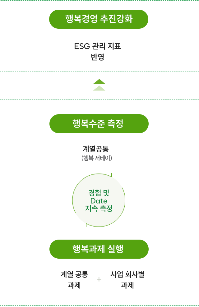 행복과제 실행(계열 공통 과제 + 사업 회사별 과제) / 경험 및 Date 지속 측정 / 행복수준 측정 (계열 공통 (행복서베이)) → 행복경영 추진강화 (ESG 관리 지표 반영)